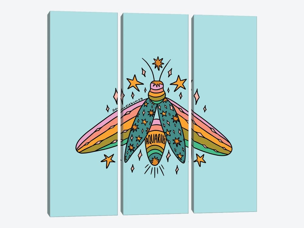 Aquarius Firefly by Doodle By Meg 3-piece Canvas Wall Art