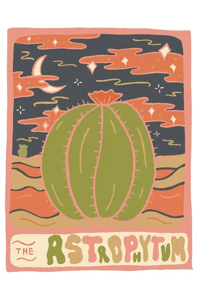 Doodle By Meg: Cactus Tarot Cards- Astrophytum by Doodle By Meg