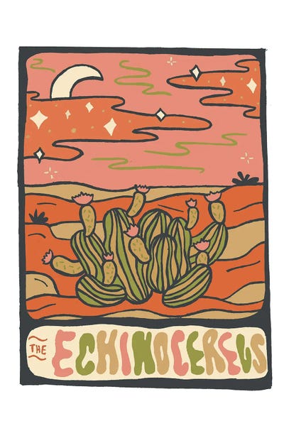 Doodle By Meg: Cactus Tarot Cards- Echinocereus by Doodle By Meg