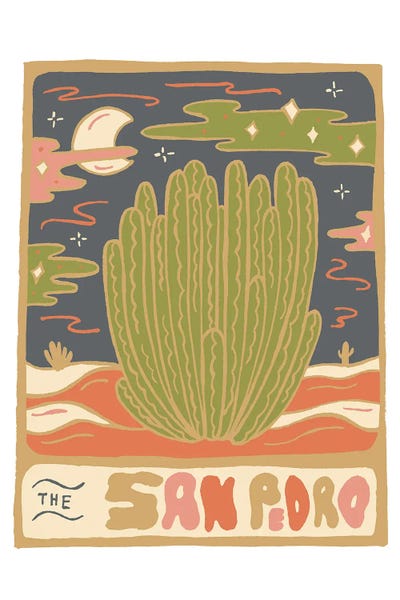 Doodle By Meg: Cactus Tarot Cards- San Pedro by Doodle By Meg