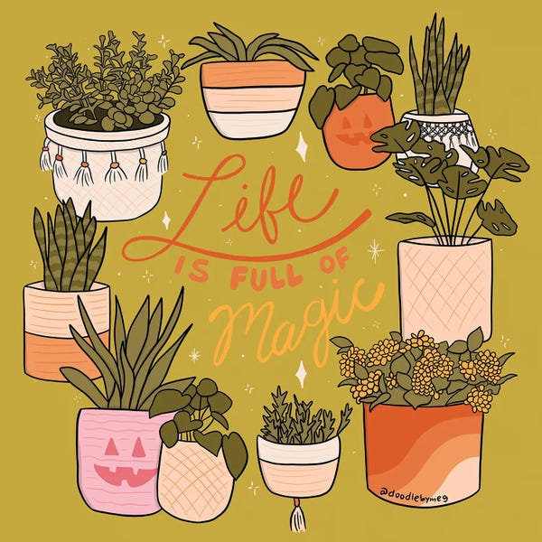 Monsteras: Life Is Full Of Magic by Doodle By Meg