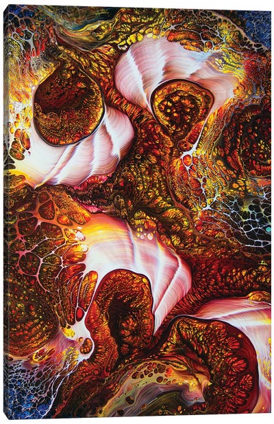 Abstract 1996 #4 Canvas Art Print - David Dolan