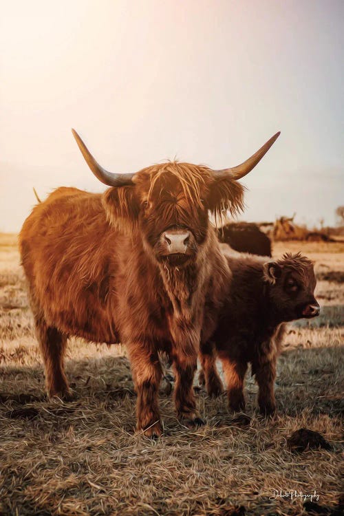 Highland Mom and Daughter I