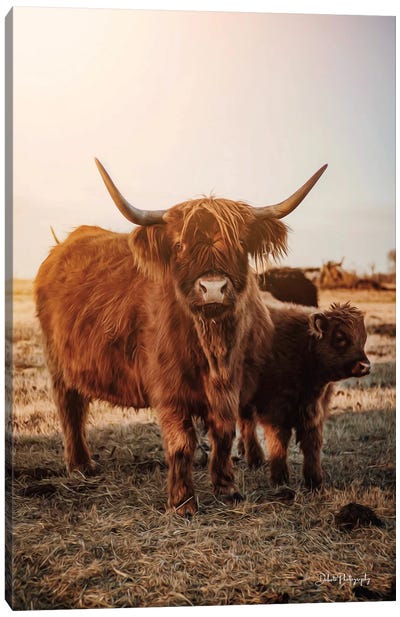 Highland Mom and Daughter I Canvas Art Print