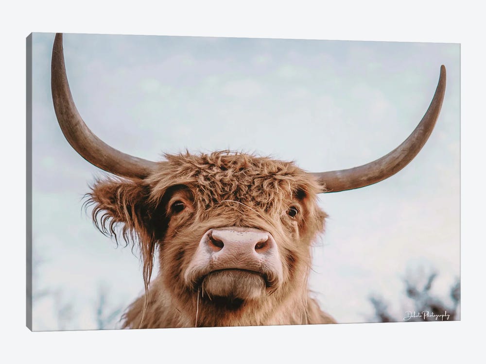 Highland Selfie by Dakota Diener 1-piece Canvas Art