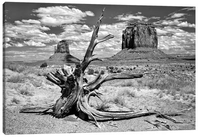 B&W Desert View V Canvas Art Print - Desert Landscape Photography