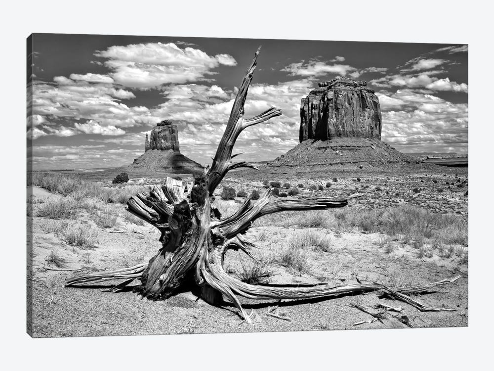 B&W Desert View V by David Drost 1-piece Canvas Print