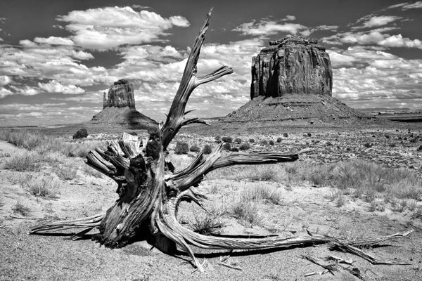 David Drost: B&W Desert View V by David Drost