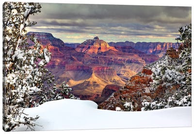 Snowy Grand Canyon I Canvas Art Print - David Drost