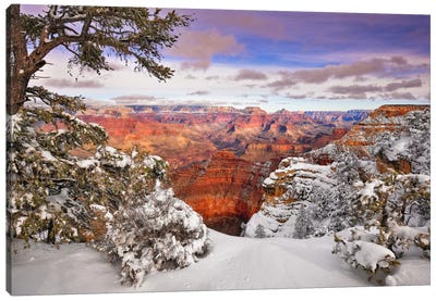 Snowy Grand Canyon II Canvas Art Print - David Drost