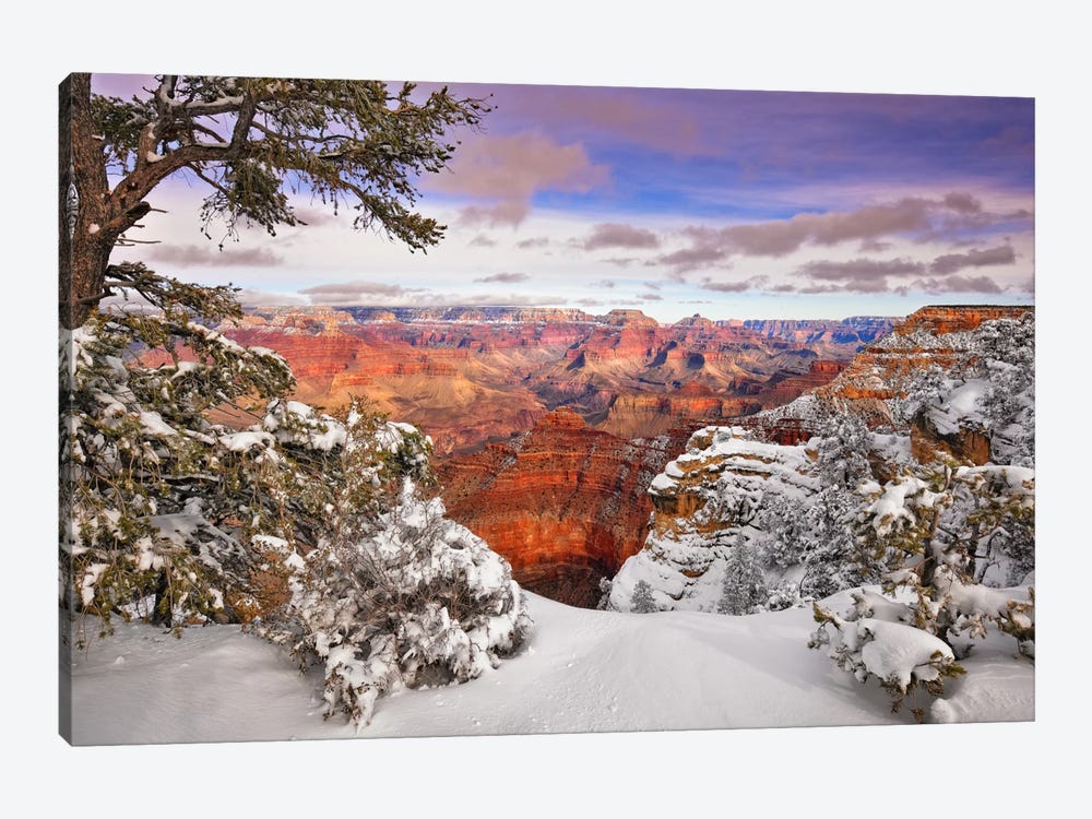 Snowy Grand Canyon II by David Drost 1-piece Canvas Print