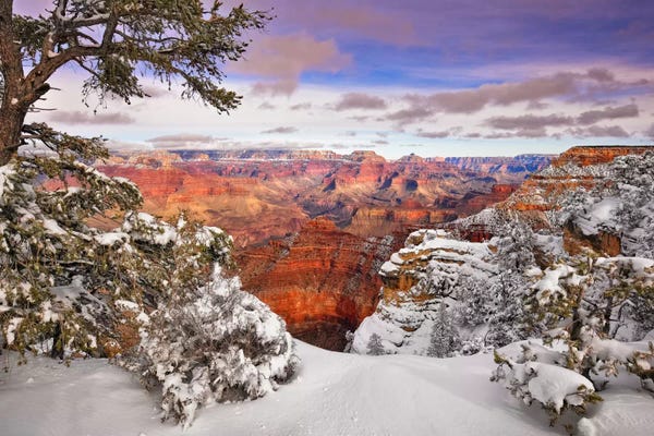 David Drost: Snowy Grand Canyon II by David Drost
