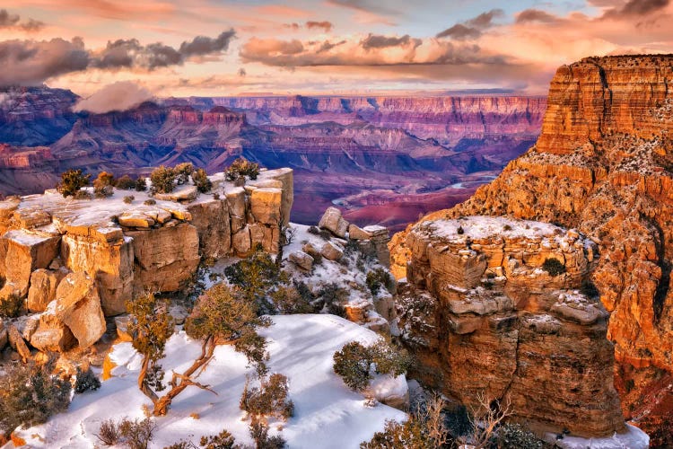 Snowy Grand Canyon V by David Drost wall art