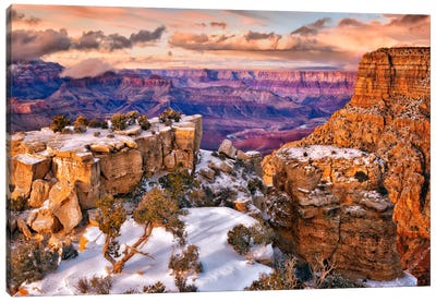 Snowy Grand Canyon V Canvas Art Print - David Drost