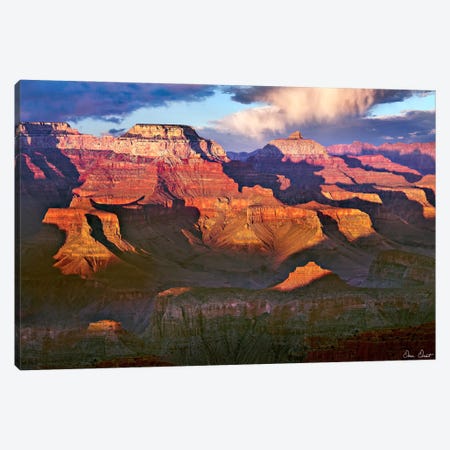 Canyon View III Canvas Print #DDR27} by David Drost Canvas Art Print