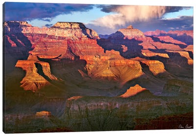 Canyon View III Canvas Art Print - Grand Canyon National Park