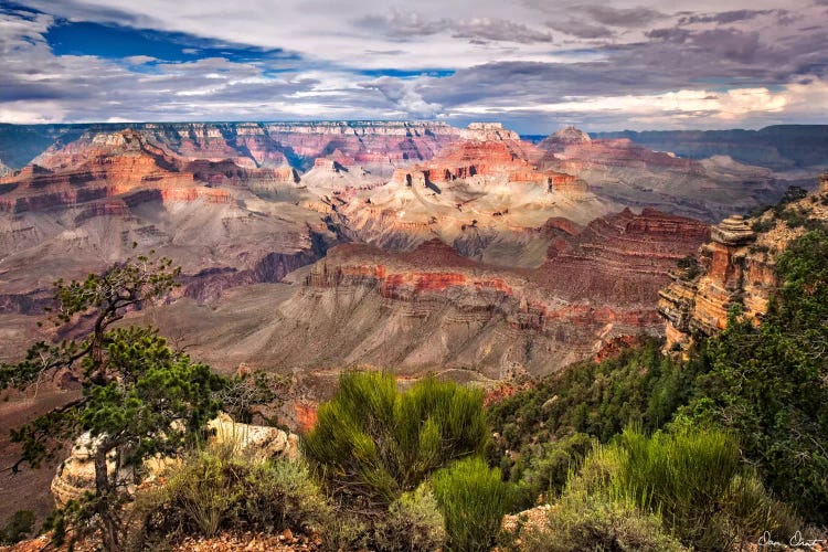 Canyon View VI by David Drost wall art