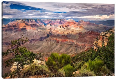 Canyon View VI Canvas Art Print - Grand Canyon National Park