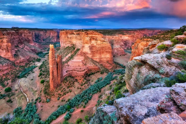 Canyon View VIII