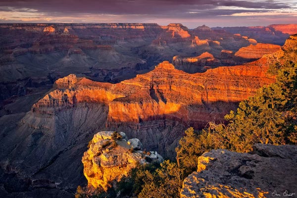 David Drost: Canyon View X by David Drost