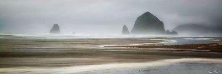 From Cannon Beach I