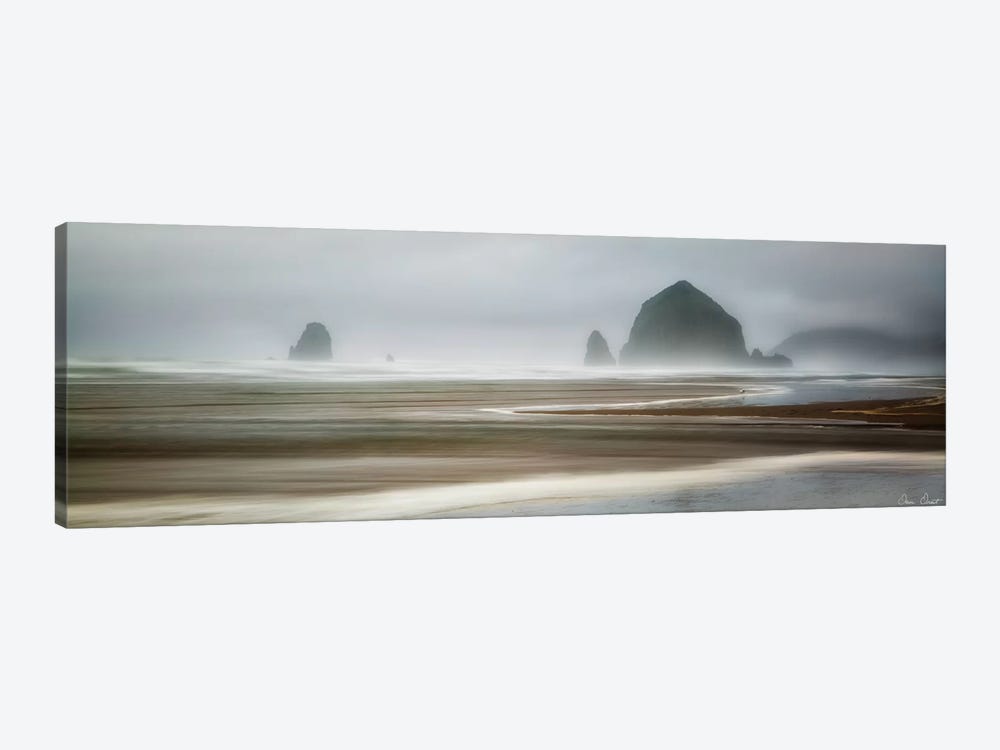 From Cannon Beach I by David Drost 1-piece Canvas Art Print