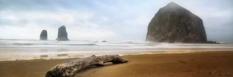 From Cannon Beach II by David Drost wall art