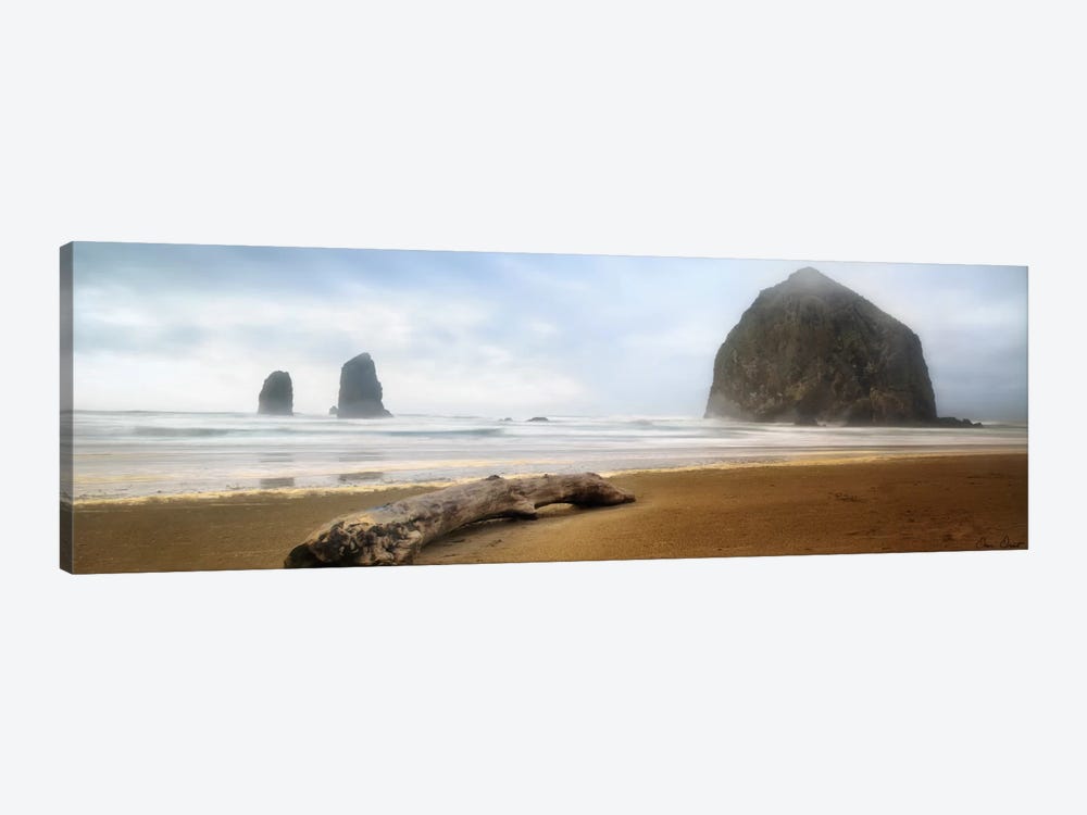 From Cannon Beach II by David Drost 1-piece Canvas Wall Art
