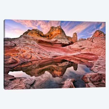 Sunset in The Desert IV Canvas Art Print by David Drost | iCanvas
