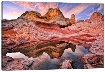 Arizona Reflection I Canvas Art Print - Desert Landscape Photography
