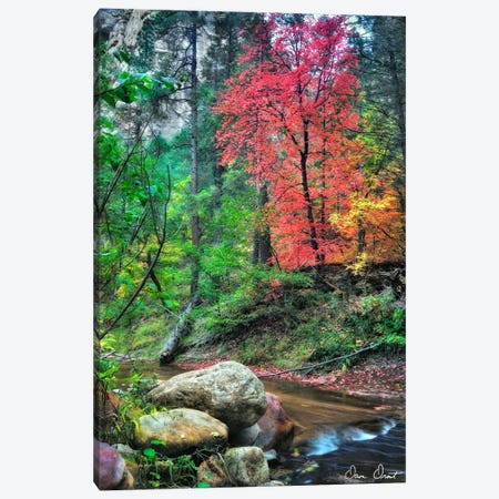 Peaceful Woods II Canvas Print #DDR45} by David Drost Canvas Print