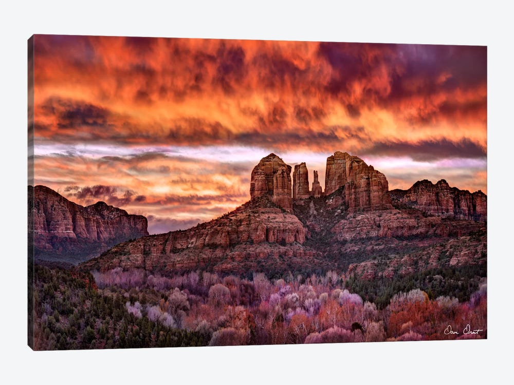 Pink Morning Glory IV by David Drost 1-piece Canvas Wall Art