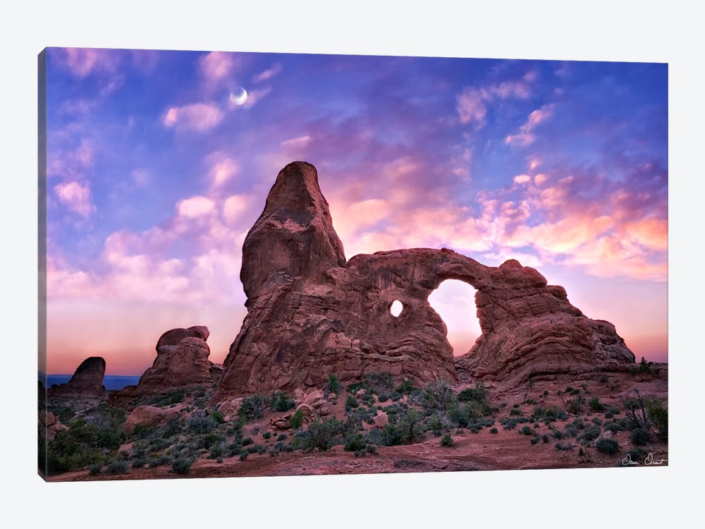 Sunset in The Desert I Canvas Art by David Drost | iCanvas