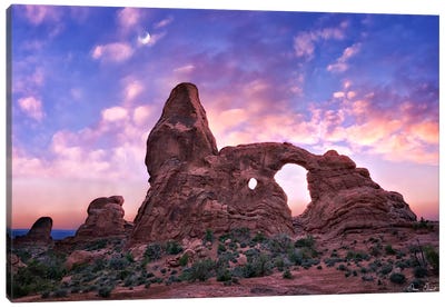 Sunset in The Desert I Canvas Art Print - Desert Landscape Photography