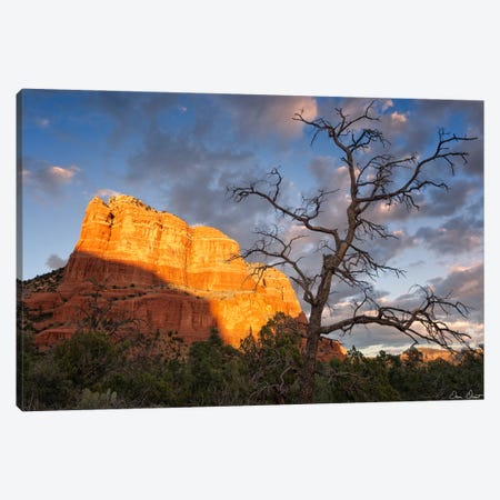 Sunset in The Desert II Canvas Print #DDR62} by David Drost Canvas Art