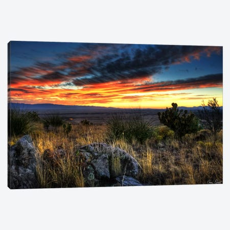 Sunset in The Desert IV Canvas Print #DDR64} by David Drost Canvas Art Print