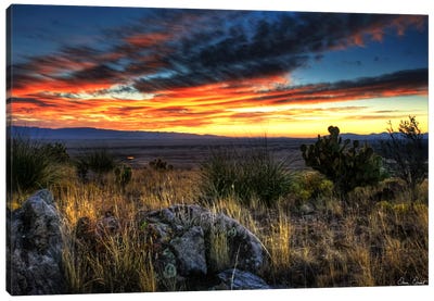 Sunset in The Desert IV Canvas Art Print - Desert Landscape Photography