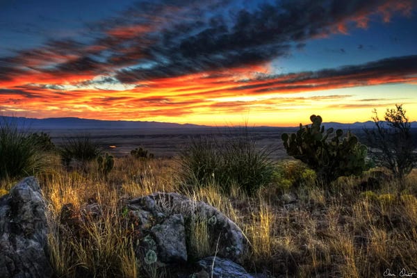 David Drost: Sunset in The Desert IV by David Drost