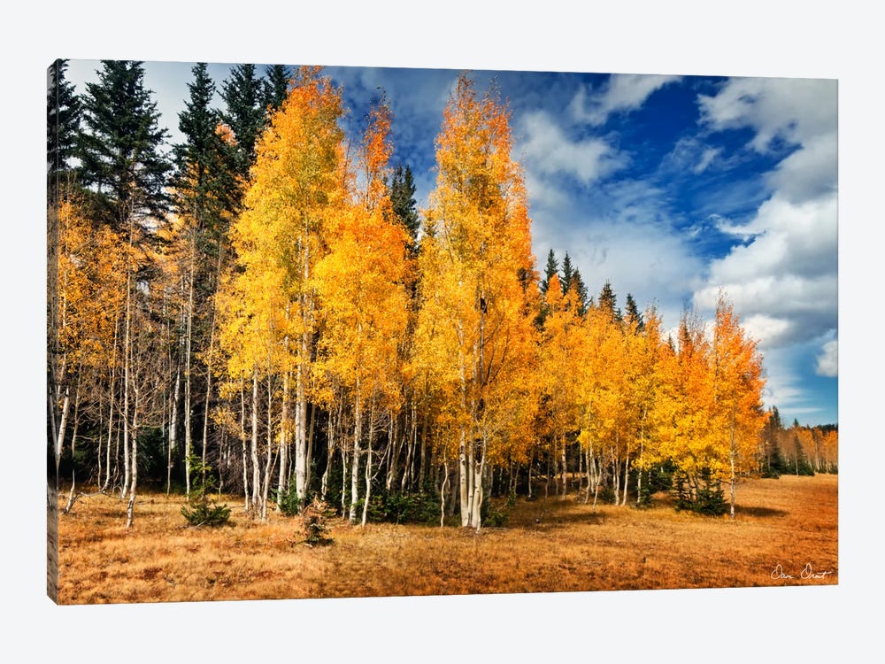 Through The Yellow Trees II 1-piece Canvas Wall Art