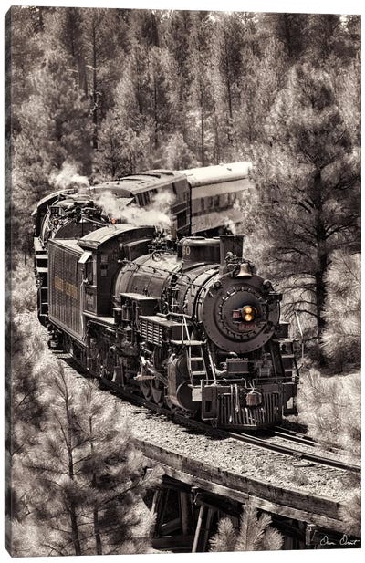 Train Arrival III Canvas Art Print - Sepia Photography