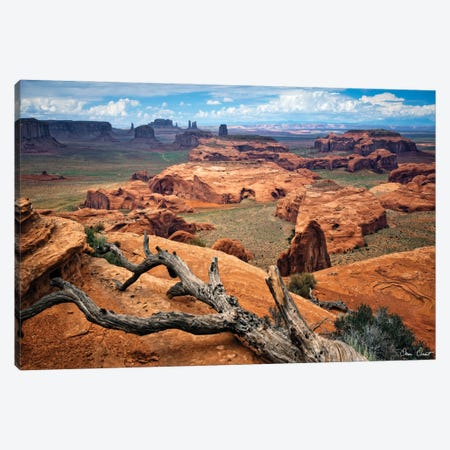 Valley Beauty VII Canvas Print #DDR77} by David Drost Canvas Art