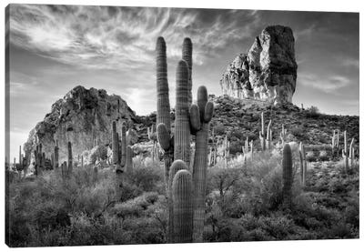 B&W Desert View I Canvas Art Print - Desert Landscape Photography