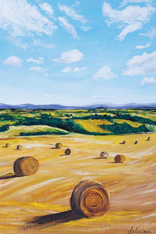 Rolling Hay Bale by Debasree Dey wall art