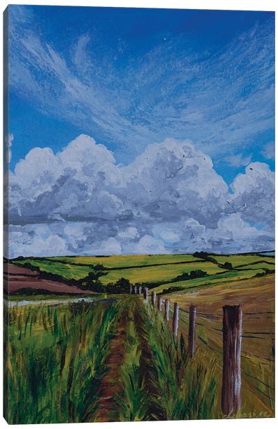 A Walk In The Field Canvas Art Print - Blue Art