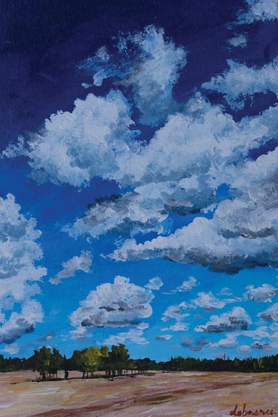 Beautiful Sky by Debasree Dey canvas print