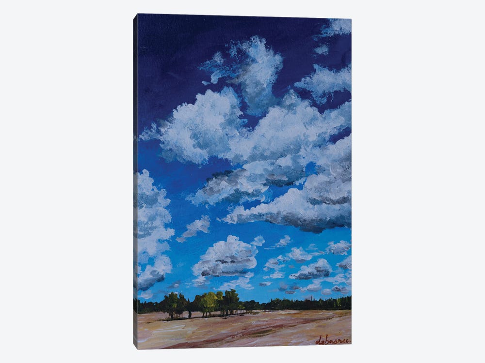 Beautiful Sky by Debasree Dey 1-piece Canvas Art Print