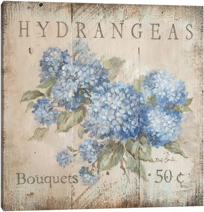 Hydrangeas Bouquets (50 Cents) Canvas Art Print - Fine Art Best Sellers