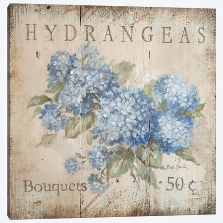Hydrangeas Bouquets (50 Cents) Canvas Print #DEB109} by Debi Coules Canvas Print