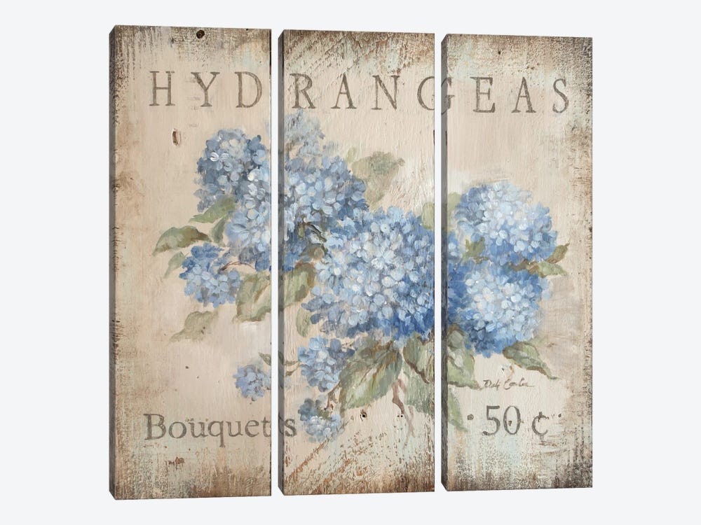 Hydrangeas Bouquets (50 Cents) by Debi Coules 3-piece Canvas Art Print