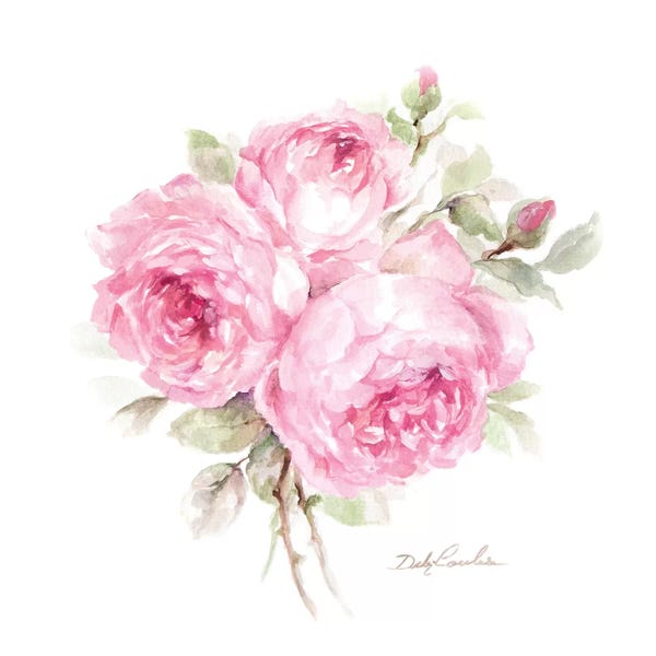 Debi Coules: English Roses by Debi Coules